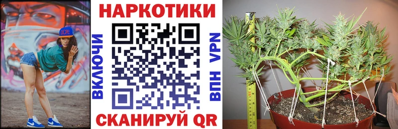Как найти наркотики Елабуга ГАШИШ  Конопля  blacksprut зеркало  Меф  Амфетамин 