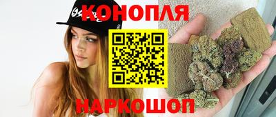 сатива Моздок