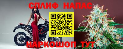 сатива Моздок
