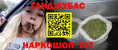 сатива Моздок