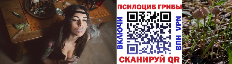 сколько стоит  Елабуга  MEGA ТОР  Галлюциногенные грибы Psilocybine cubensis 
