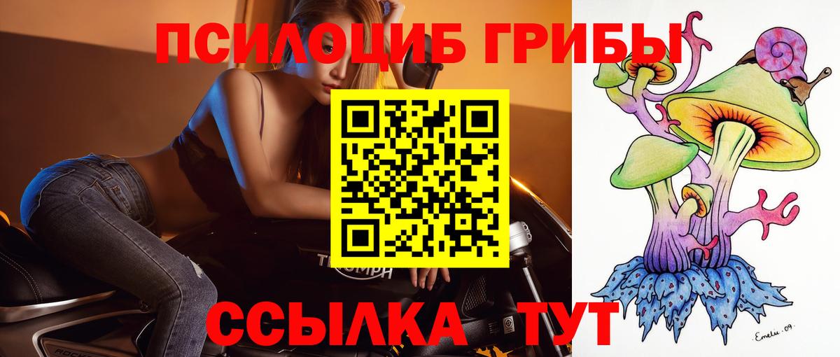 Елабуга  Галлюциногенные грибы ЛСД  Вход с VPN 
